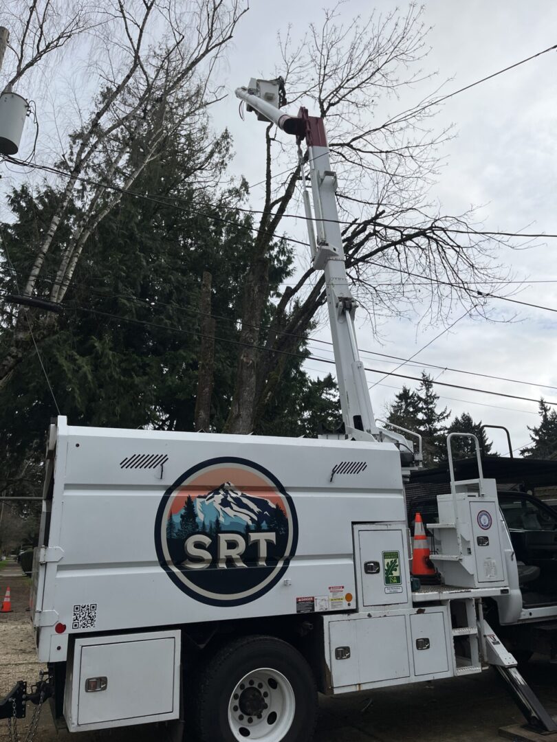 Utility truck with elevated crane near trees.